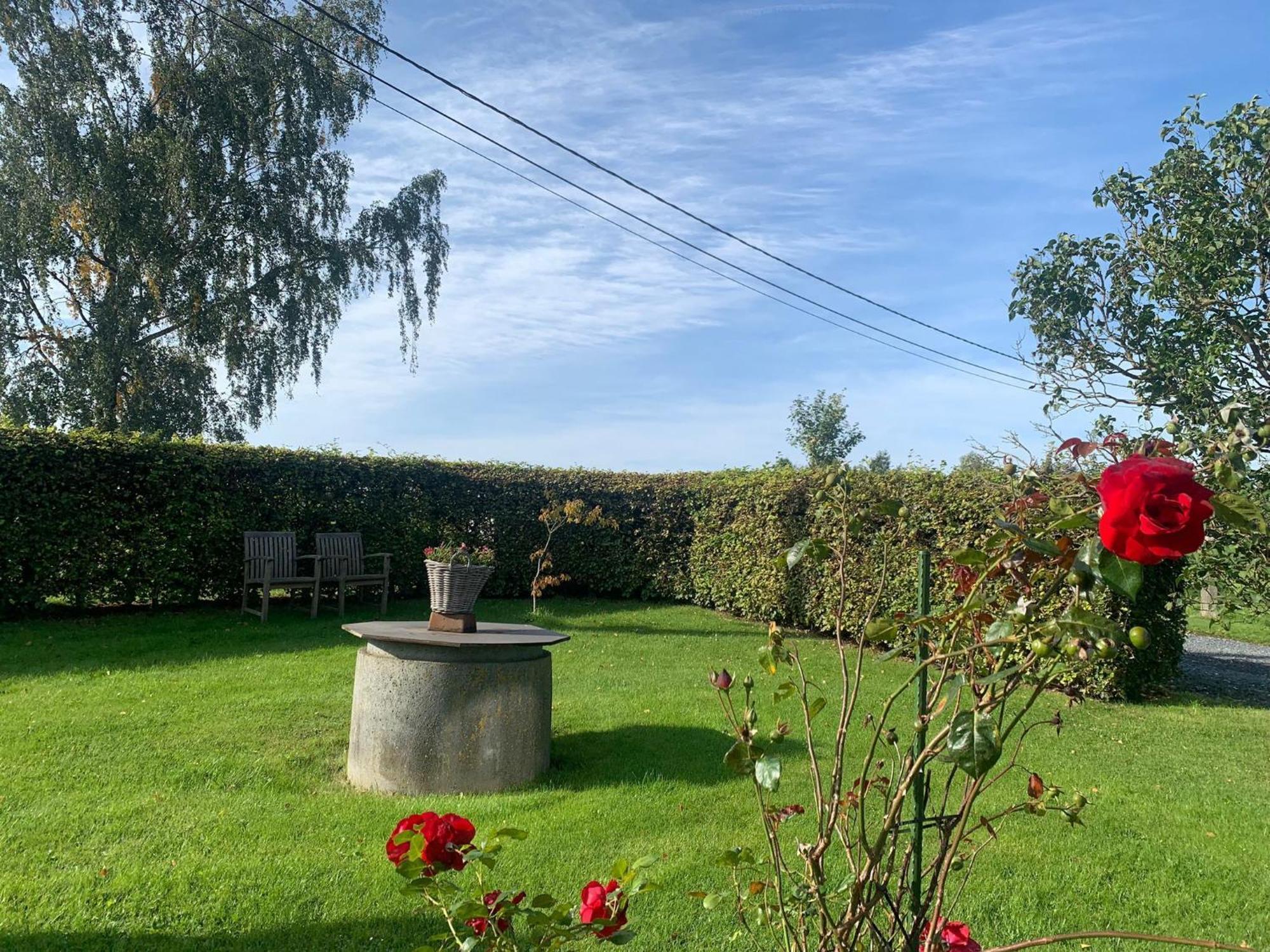 Pretty Farmhouse In Houffalize With Courtyard Buitenkant foto