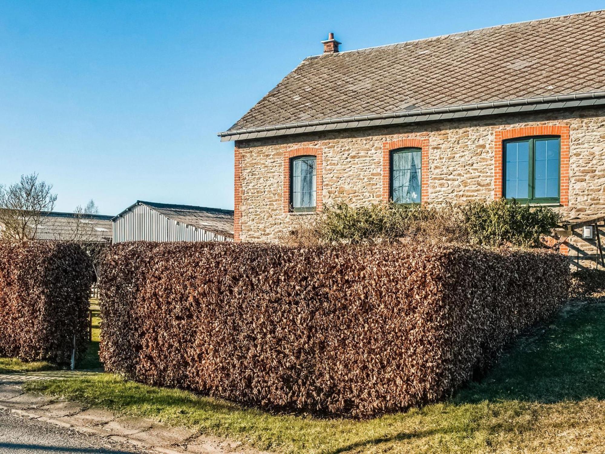 Pretty Farmhouse In Houffalize With Courtyard Buitenkant foto